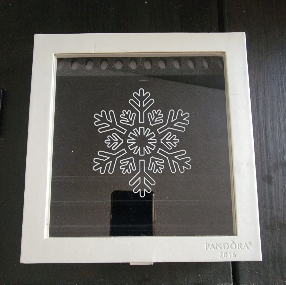 Pandora snowflake case